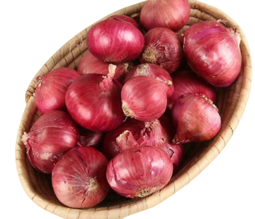 Onion