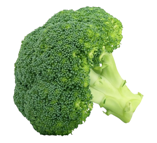 Broccoli
